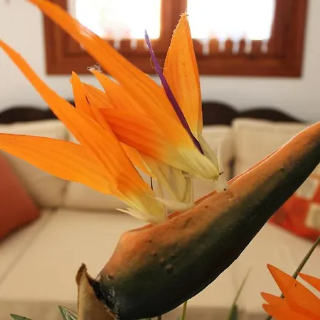 Galini 2* Agia Irini (Milos)