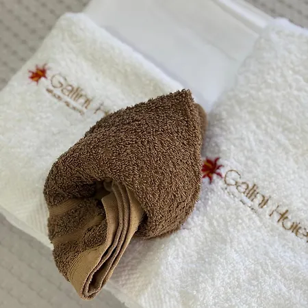 Hotel Galini 2*