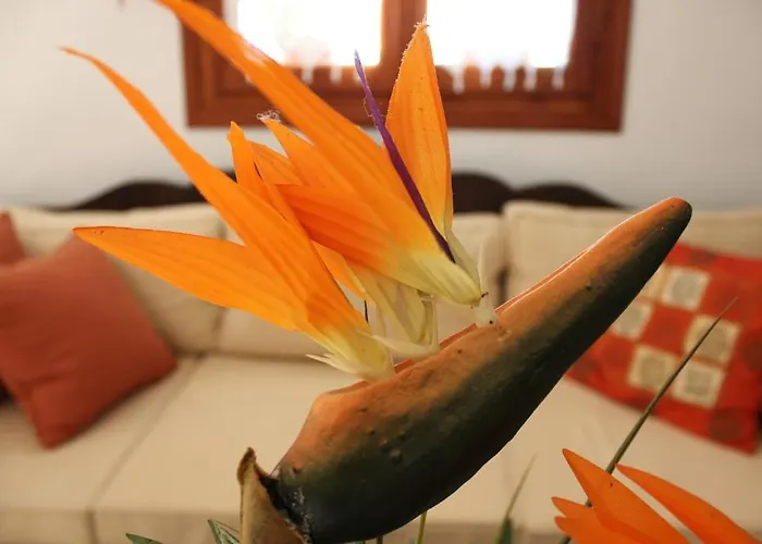 Galini 2* Agia Irini (Milos)